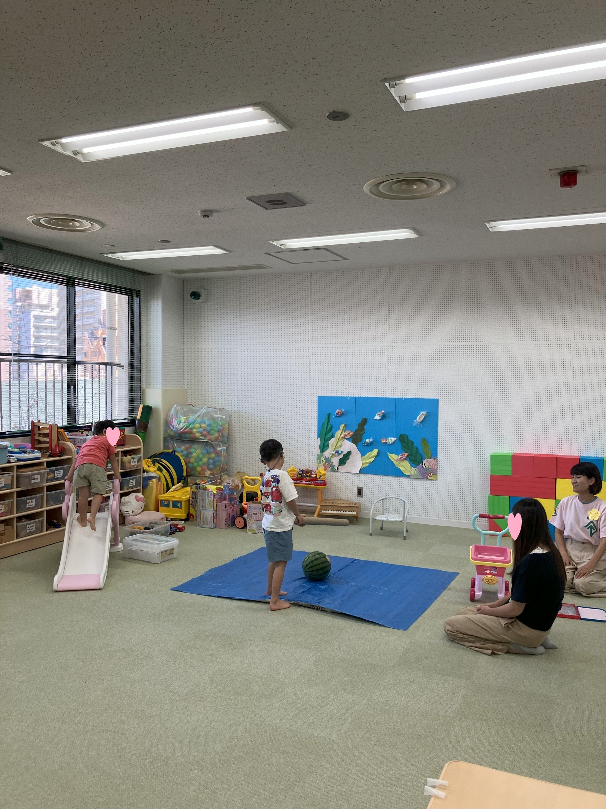 参加者の声